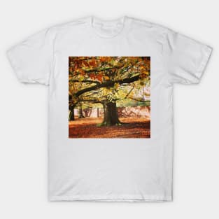 Autumn tree T-Shirt